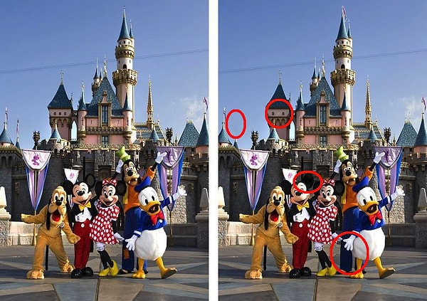 Показать правильный ответ: