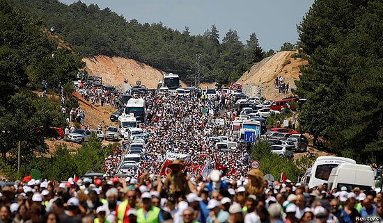 Kaç Ağaç Kesildi, Siyanür Kullanılacak mı? Dört Soruda Kaz Dağları'nda Maden Çalışması