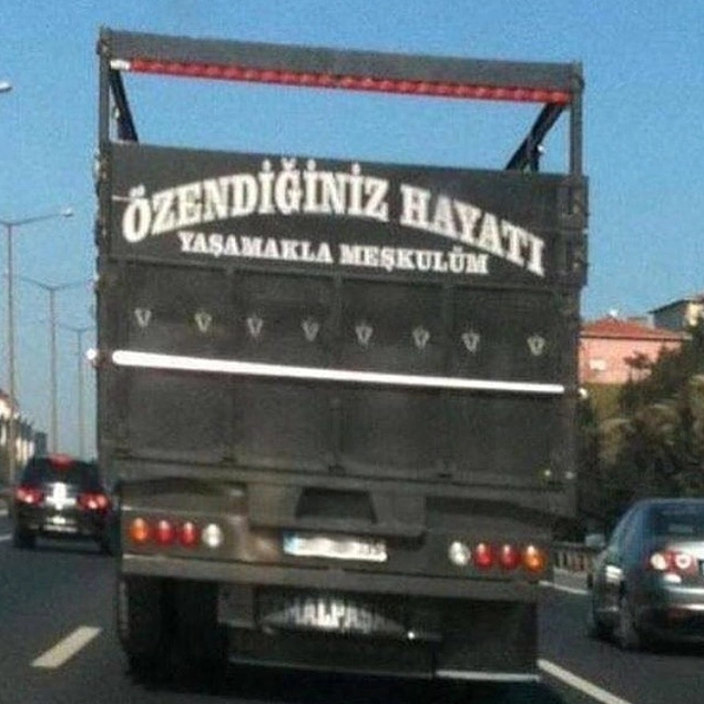 Meşkulüz.