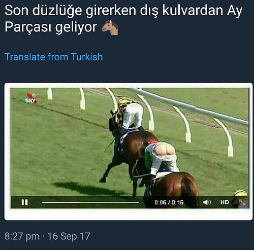 Şimdiye Kadarki En Çok Güldükleri Görseli Bizimle Paylaşarak Hepimizi Kahkahalara Boğan Takipçilerimiz