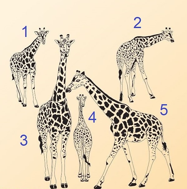 Вы любопытны, но незаметно для окружающих!