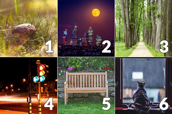 Что вы увидели на картинке первым?