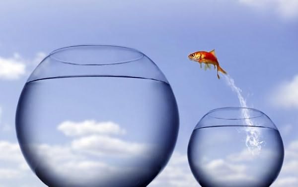 Ваш секрет успеха в амбициозности