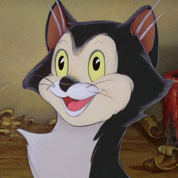 Показать правильный ответ: