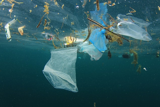 Plastik Kuzey Kutbu'na nasıl ulaşıyor?