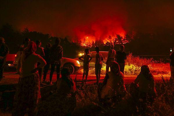 İzmir'de yerleşim yerlerine kadar uzanan orman yangını sonrası yaraların sarılması için çalışmalar başlatıldı.