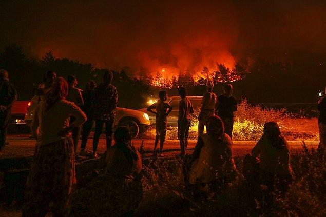 Biliyorsunuz ki, son zamanlarda artan orman yangınları ve çevreye verdiğimiz zarar had safhaya ulaştı.