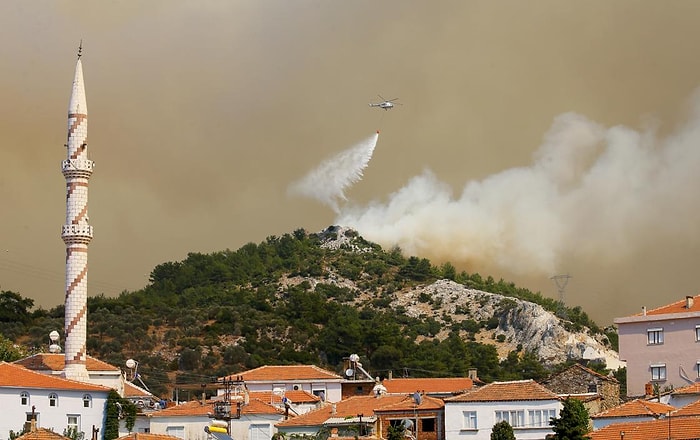 HAYTAP, İzmir'de Çıkan Orman Yangınlarında Yaralanan Hayvanların Tedavisini Üstlendi