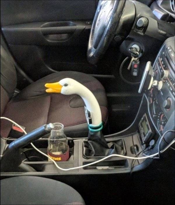 17. Любитель душить гусей