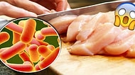 Tifo ve Gıda Zehirlenmesine Neden Olabilen Salmonella Bakterisinden Nasıl Korunabileceğinizi Biliyor muydunuz?