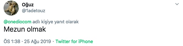 2. Vallahi büyük çılgınlık...