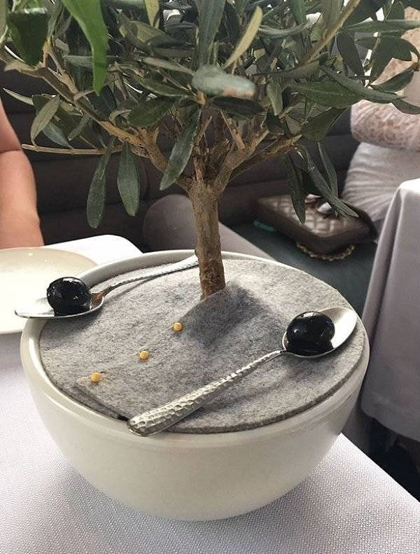 5. Надеемся, что это дерево тоже съедобное...