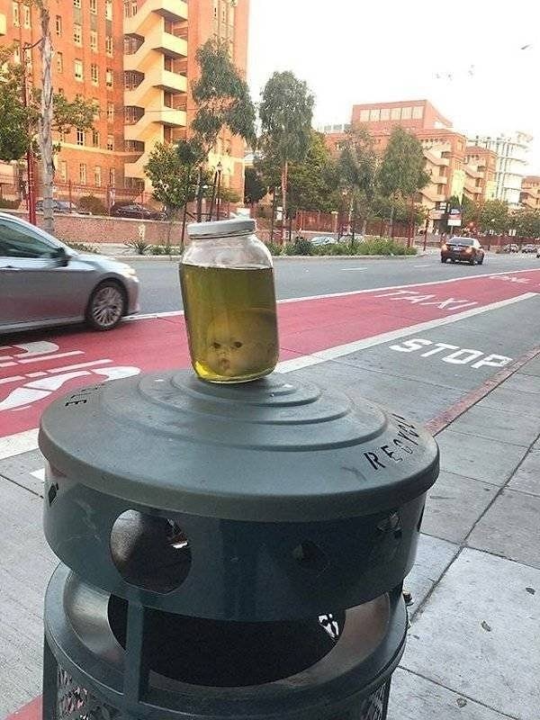 12. Только не это :(