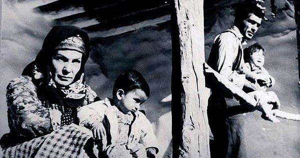 2. Yılanların Öcü (1962): Türk sinemasının ilk üçlemesi olan filmin birincisidir. Uzun süre mülkiyet kavramına kafa yoran Metin Erksan, bu filmde "toprak mülkiyeti" konusunu ele aldı.