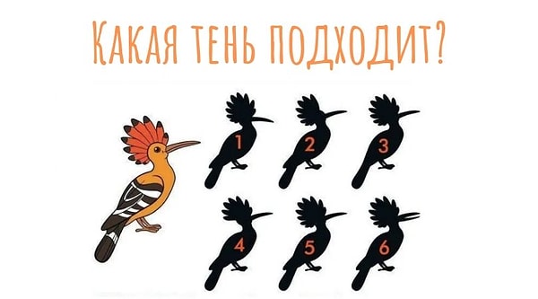 Выберите подходящую тень к рисунку