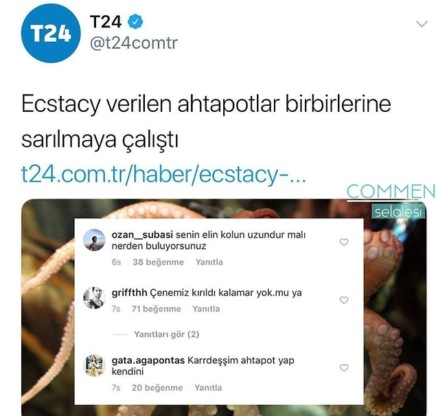 Kafalar kafalar...