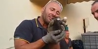 Kanalda Sıkışan Kediyi Kurtardıktan Sonra Gözyaşlarını Tutamayan İtfaiye Memuru!
