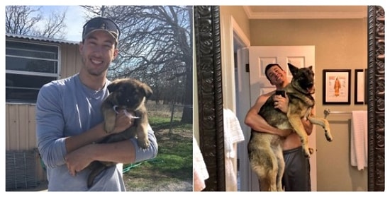 Küçükten Büyüğe Değişimleriyle Gözlerinizden Kalpler Fışkırmasını Sağlayacak 19 Minnoş!