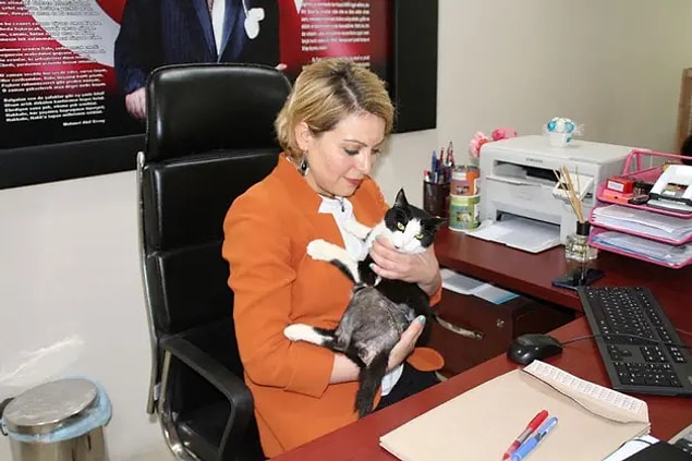 Müfettişlerin incelemesi sonucu cezalandırıldı