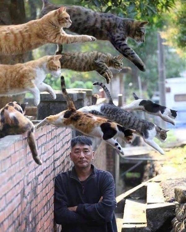 14. Действительно, что тут удивляться