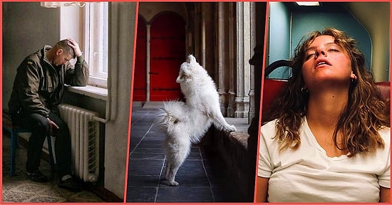 Fotoğraf Çekmeye Niyetlenmişken Ortaya Yanlışlıkla Rönesans Tablosu Çıkaran Kişilerden Şahane Kareler