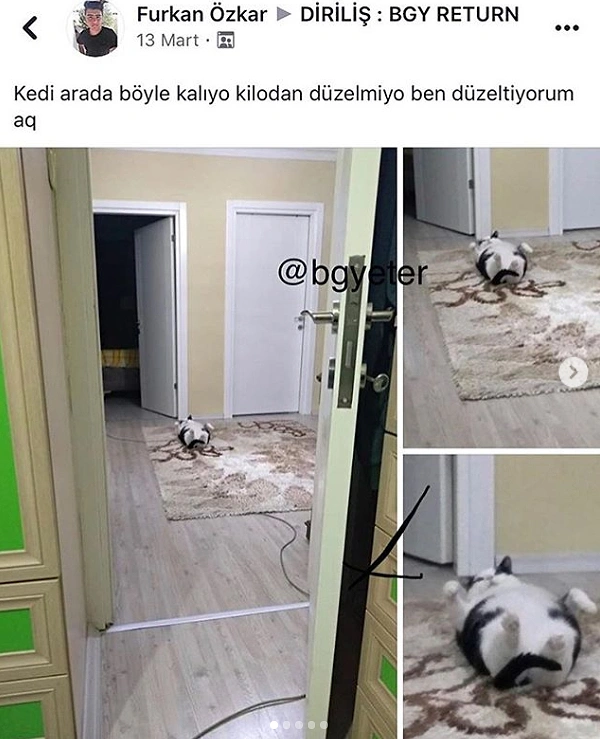 Kaplumbağalar gibi.