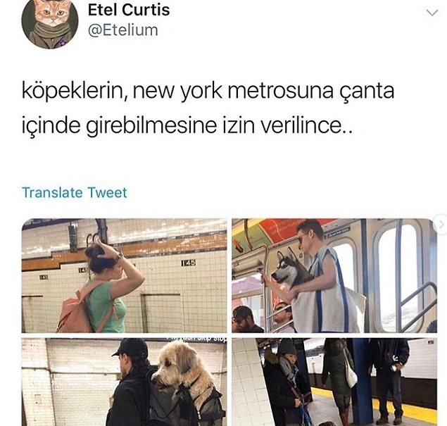 Tatlılık manzaraları.