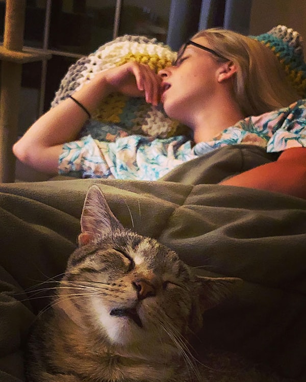 17. "Моя невеста и наш кот ловят мух"