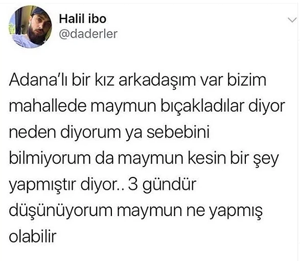 Maymun bu.