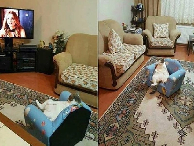 Keyfi paşada yok. :)
