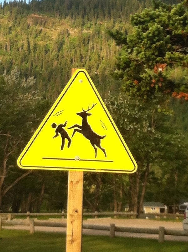 6. Частое явление в этих краях