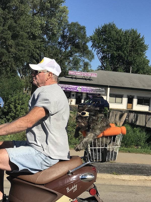 14. Почему-то мы ему немного завидуем...