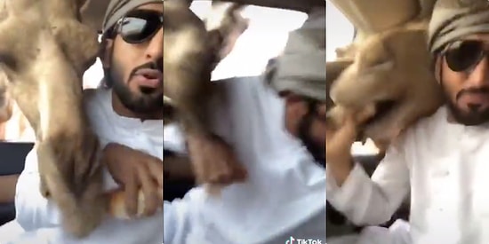 Twitter'ın Mizahşörleri Tarafından Paylaşılmış Geçtiğimiz Haftanın En İyi 30 Videosu