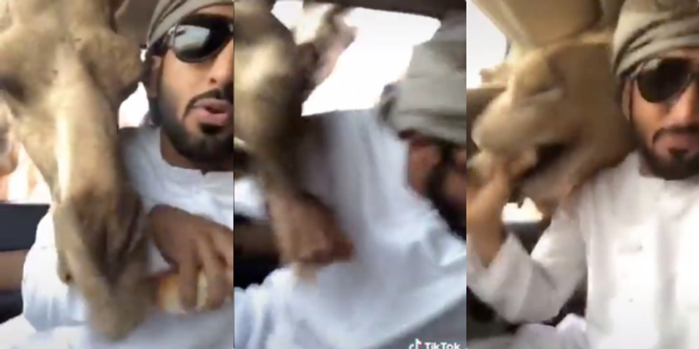 Twitter'ın Mizahşörleri Tarafından Paylaşılmış Geçtiğimiz Haftanın En İyi 30 Videosu