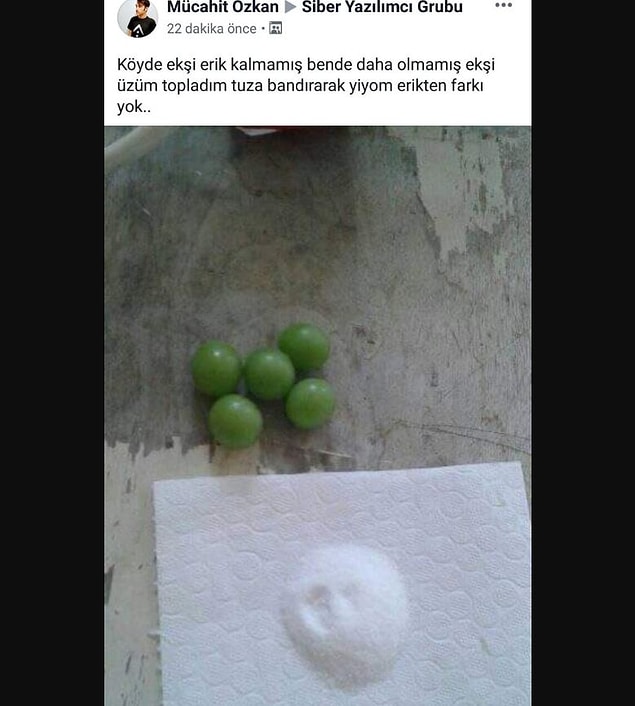 12. Tadı da benziyorsa, neden olmasın.