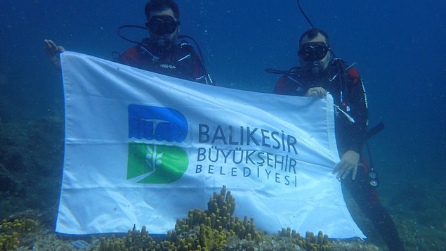 Proje kapsamında profesyonel dalış ekipleri kırmızı mercanların hem yerini tespit etti, hem de bu doğa harikasını fotoğraflar ile gün yüzüne çıkardı.