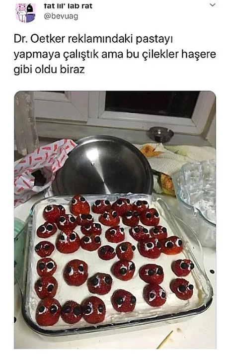 Böyle pasta yapmayı nerden öğrendin?