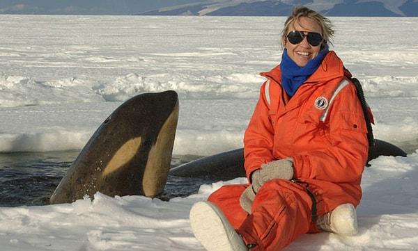 10. Aynı zamanda Antarktika'da balinaları izlemek için kayıt olunabilen etkinlikler de mevcut.