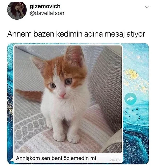 Anneler işini biliyor.