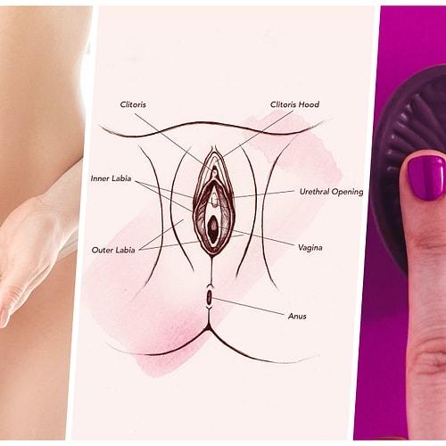 kadin anatomisinin surekli birbiriyle karistirilan ikilisi vajina ile vulvanin arasindaki fark nedir onedio com