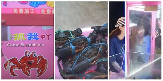 Oyuncak Yakalama Makinesine Yengeç Doldurdular: Sırf İnsanlar Eğlensin Diye Hayvanlara İşkence Edildi!