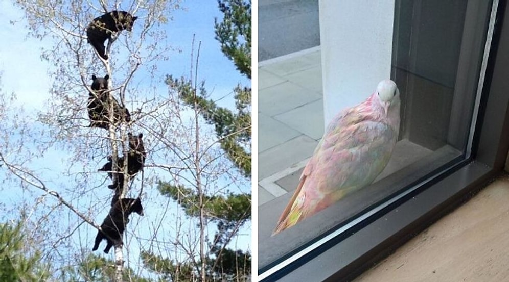 20 снимков, за которыми кроются любопытные истории