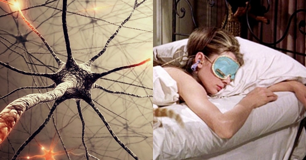 Uykunun Beyninizdeki Toksinleri Temizlediğini Biliyor muydunuz?