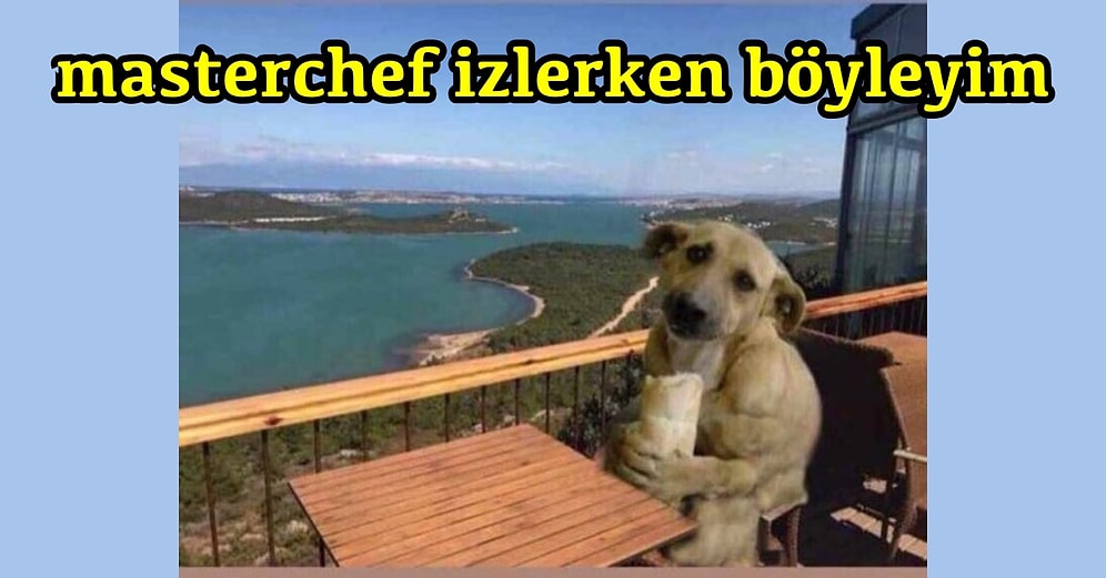 Televizyon Dünyasıyla İlgili Attıkları Komik Tweetlerle Hafta Boyunca Güldürenler