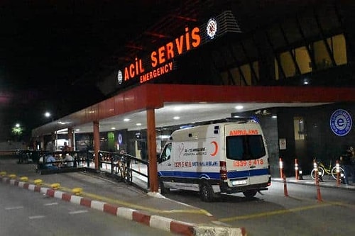 İstanbul'da Ispanak Paniği: İl Tarım ve Orman Müdürlüğü 'Zehirlenmeye Araya Karışan Yabancı Otlar Neden Oldu' Dedi