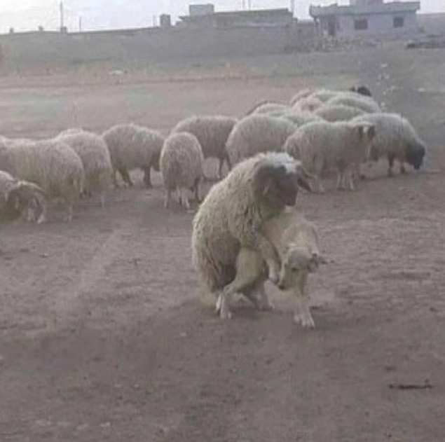 Paralel evren açıklaması bile kurtarmıyor bu fotoğrafı açıklamaya.