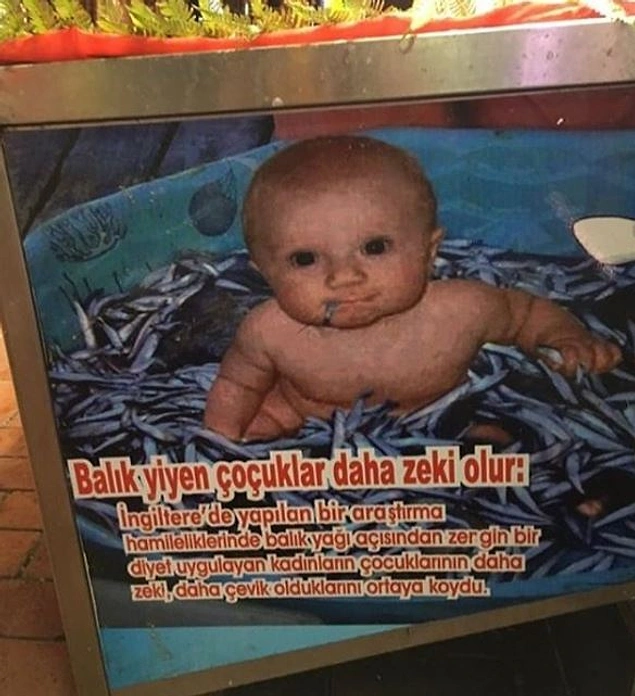 Canlı mı yemeli, bu ne görsel böyle?