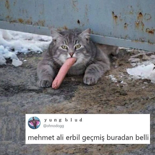 Sosisi ağzına koyup uzaklaşmış...