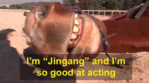 "Benim adım 'Jingang' ve  oyunculukta çok iyiyim."