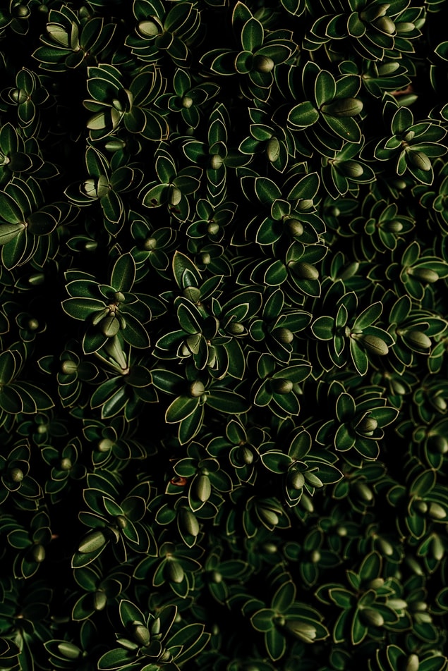 48.